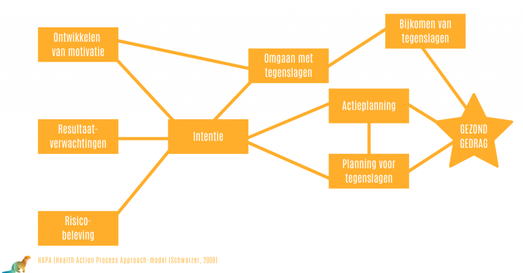 HAPA-model voor gezonde gedragsverandering
