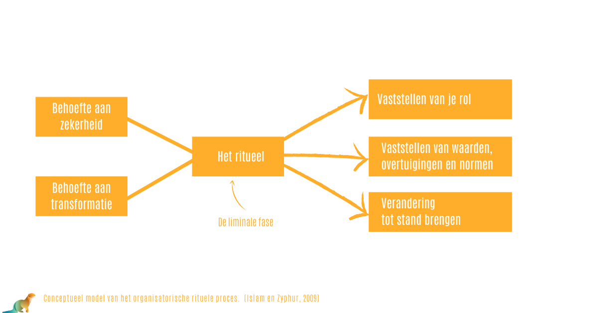 Conceptueel model van het organisatorische rituele proces