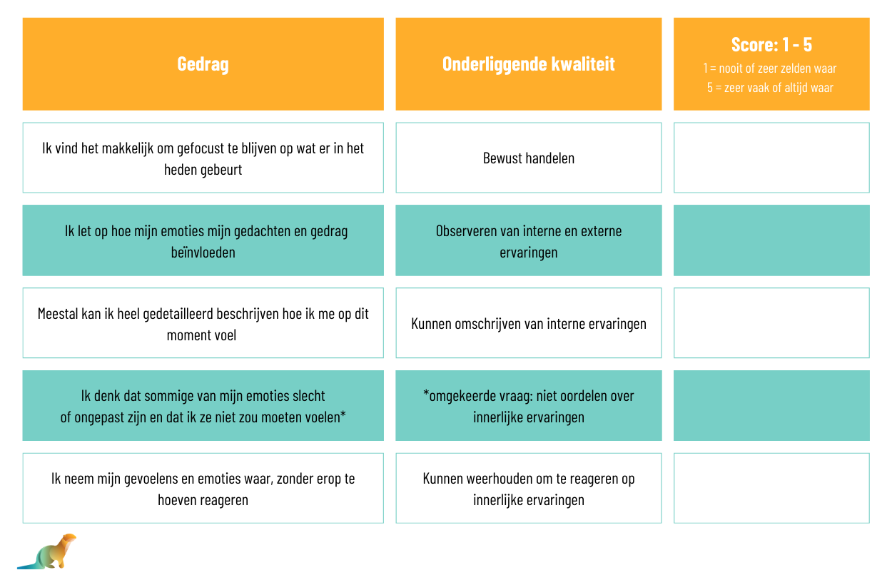 Tabel van een checklist hoe mindful je bent.